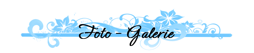 Foto-Galerie